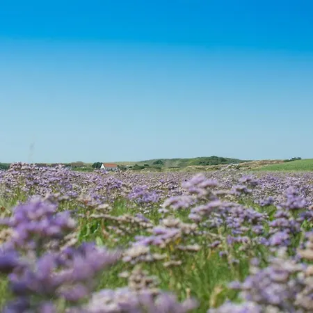 Collins Stiftung Διαμέρισμα *