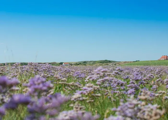 Collins Stiftung 公寓 *