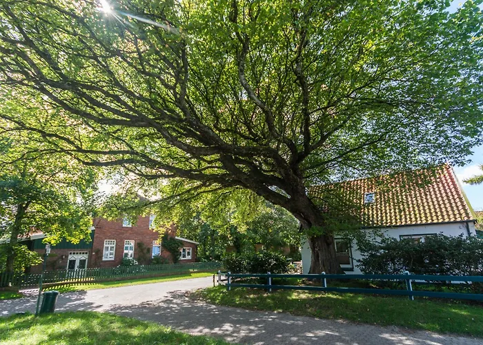 Collins Stiftung 公寓 斯匹科罗格