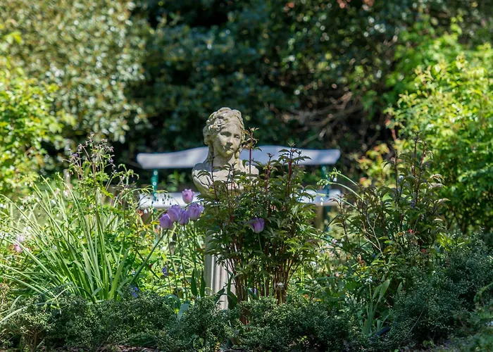 Collins Stiftung 斯匹科罗格