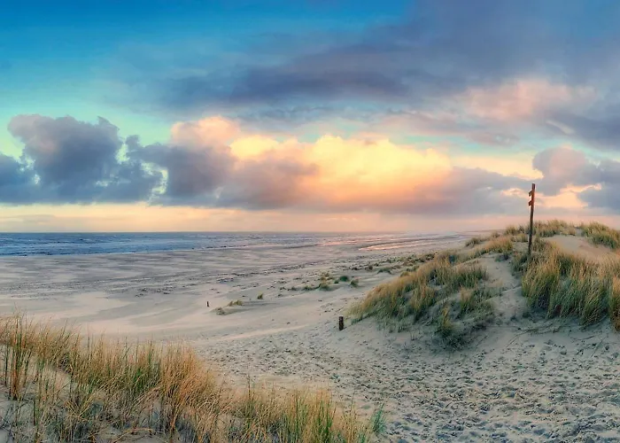 公寓 Collins Stiftung