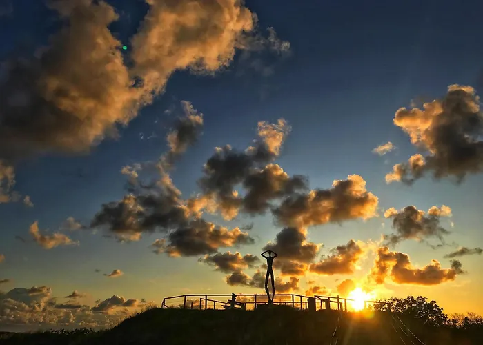 Collins Stiftung 斯匹科罗格