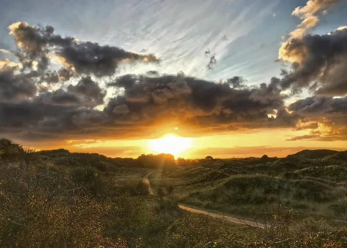 公寓 Collins Stiftung