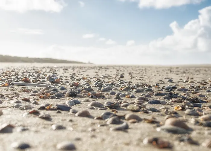 Collins Stiftung 公寓 斯匹科罗格