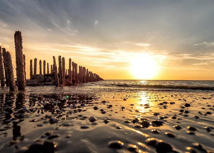 Collins Stiftung * 斯匹科罗格