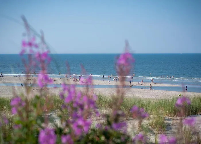 公寓 Collins Stiftung *